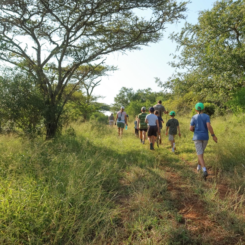 Wandersafari durch Südafrika